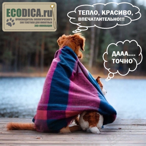 ЗОО пледы для животных оптом 